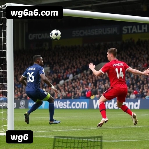 Vantagens exclusivas wg6 para jogadores brasileiros - São Paulo, Rio, BH